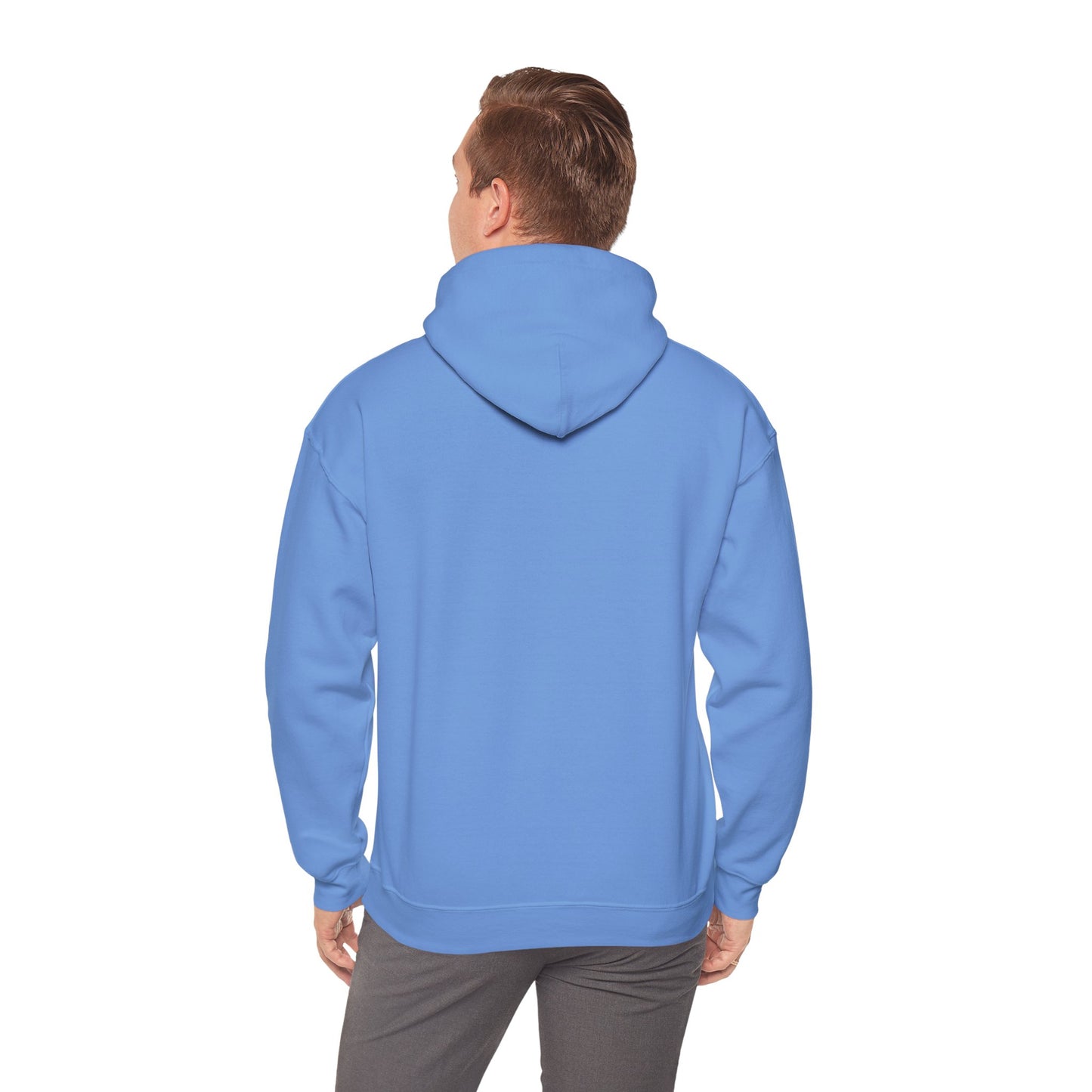 Sudadera con capucha unisex Heavy Blend™ - "¿Qué es manifestar?"