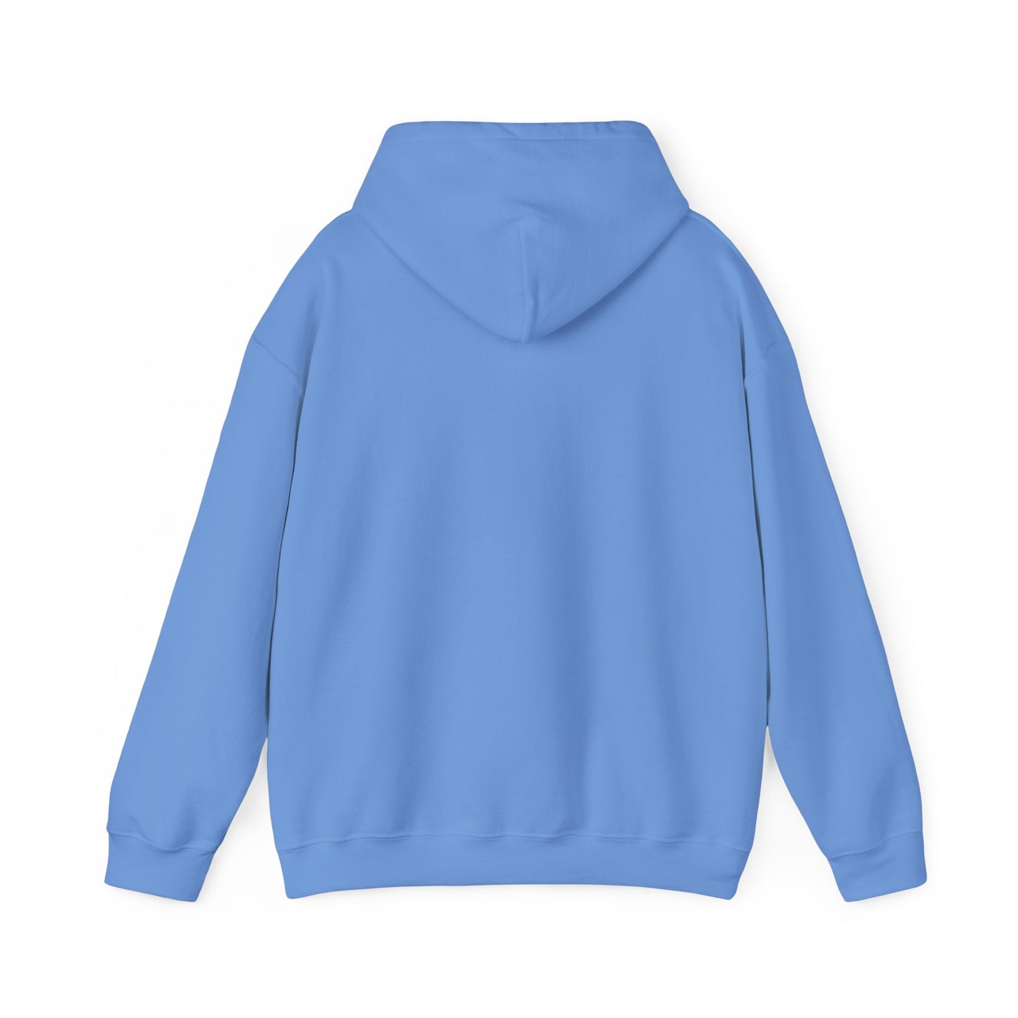Sudadera con capucha unisex Heavy Blend™ - "¿Qué es manifestar?"